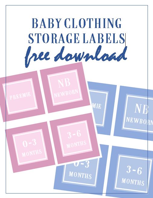 How to Organize Storage Bins (with FREE Printables!)